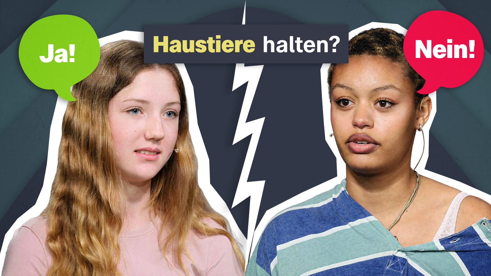 Diskussion zu Haustieren