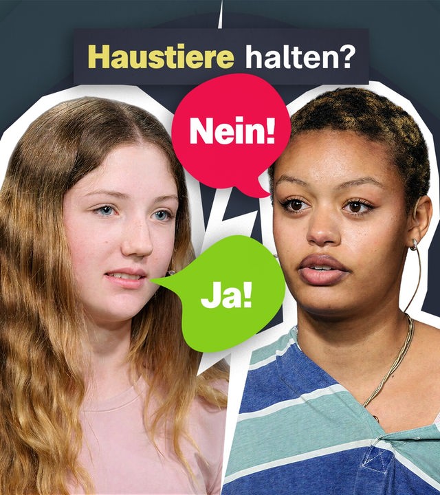 Diskussion zu Haustieren