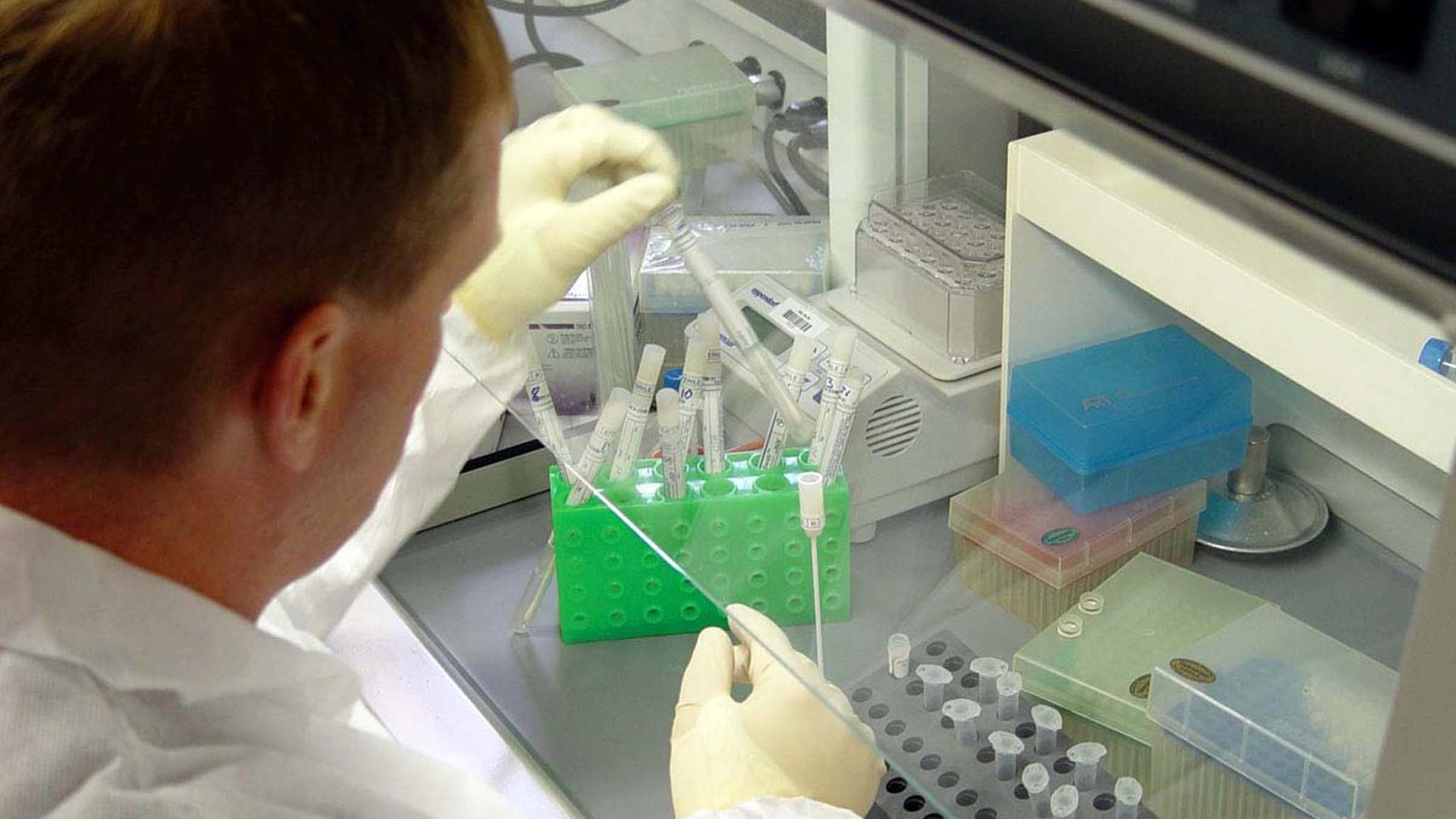 Ein Laborant überprüft mehrere DNA-Proben.