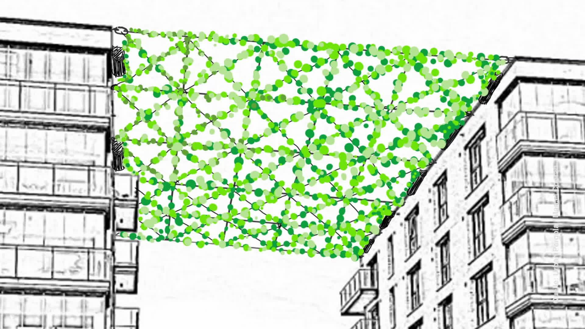 Grafik/Zeichnung: Begrünte Netze sind zwischen Häuser gespannt