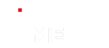 Docume logo original mittig