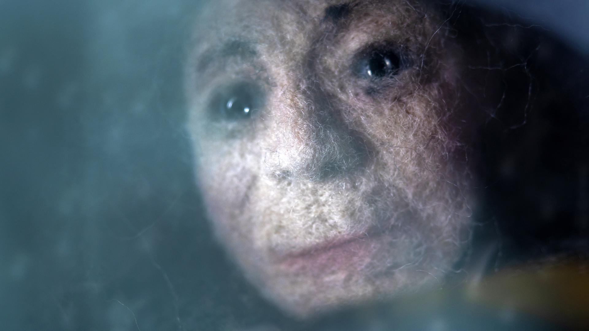 Gesicht einer Filzfigur.