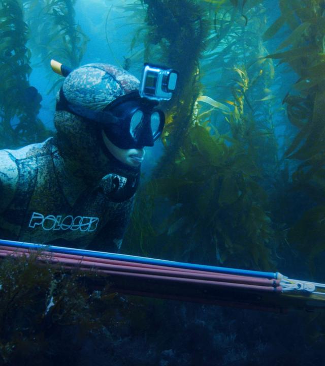In der Tiefe des Meeres wie ein Fisch: Die Speerfischerin Mitsuki auf der Jagd nach Beute.