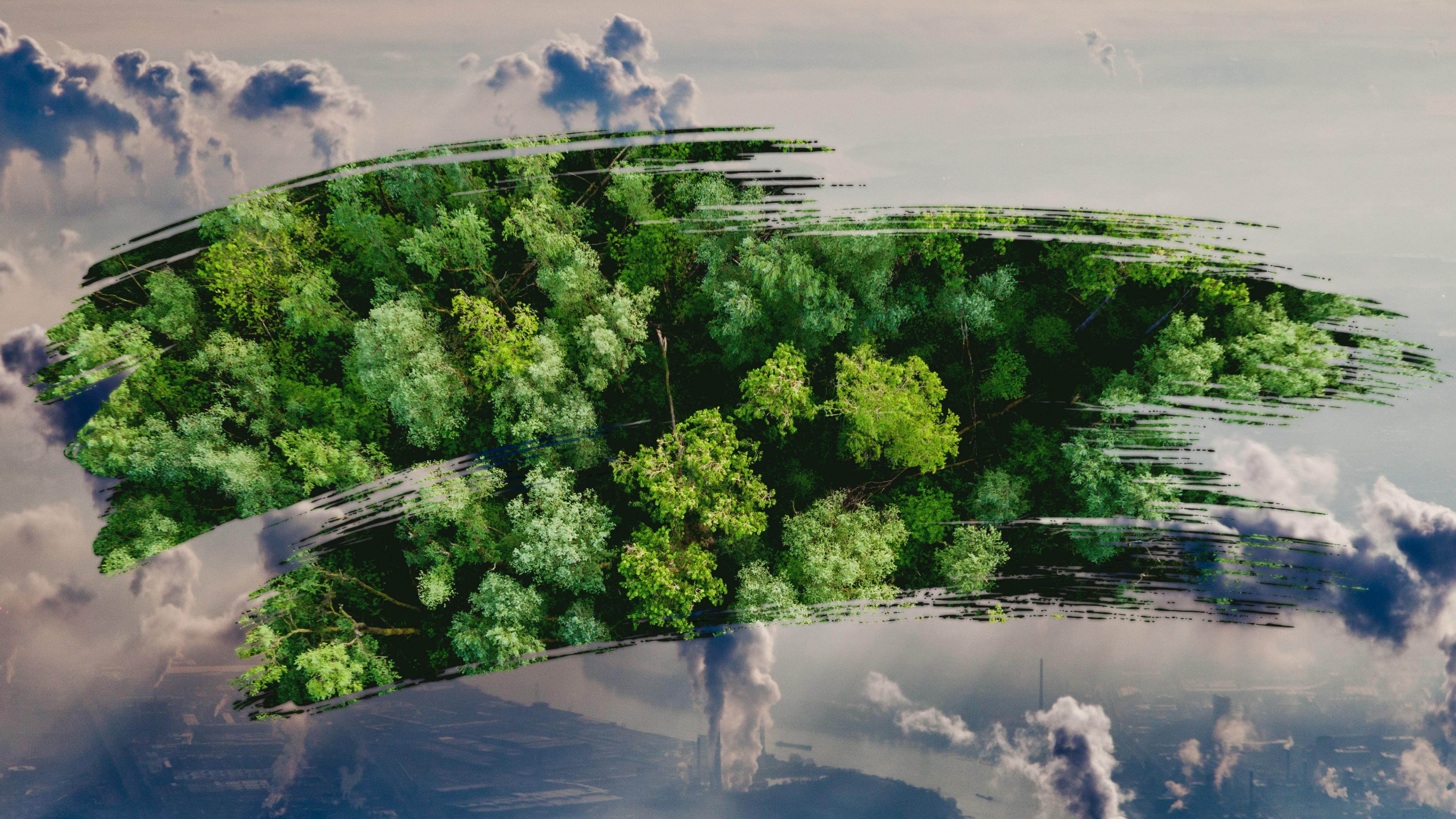 Bildmontage: Schornsteine stoßen Emissionen aus, darüber Wischer mit Regenwald