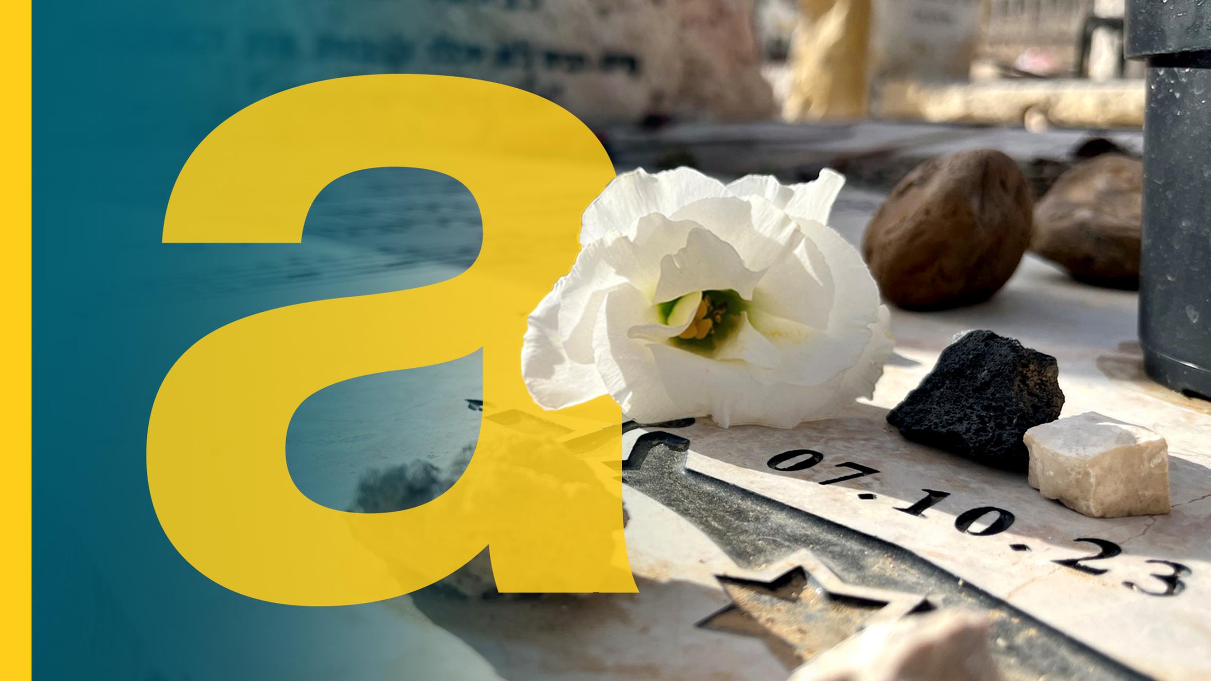 Auf dem Bild ist eine weiße Blume zu sehen.