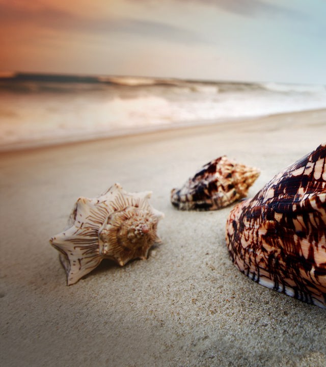 Rubriken Doku/Wissen