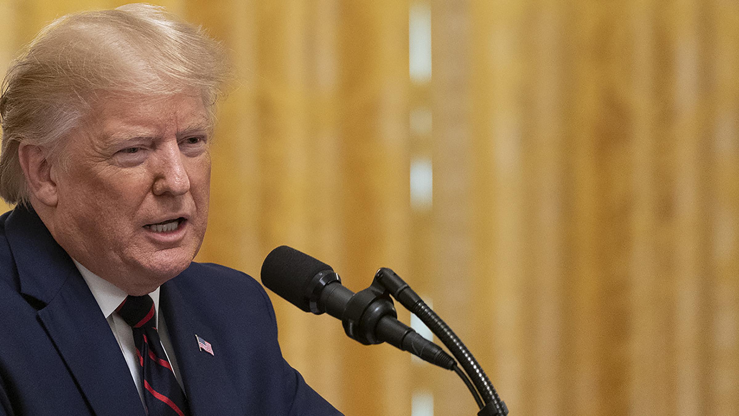 Download Donald trump aussagen Free