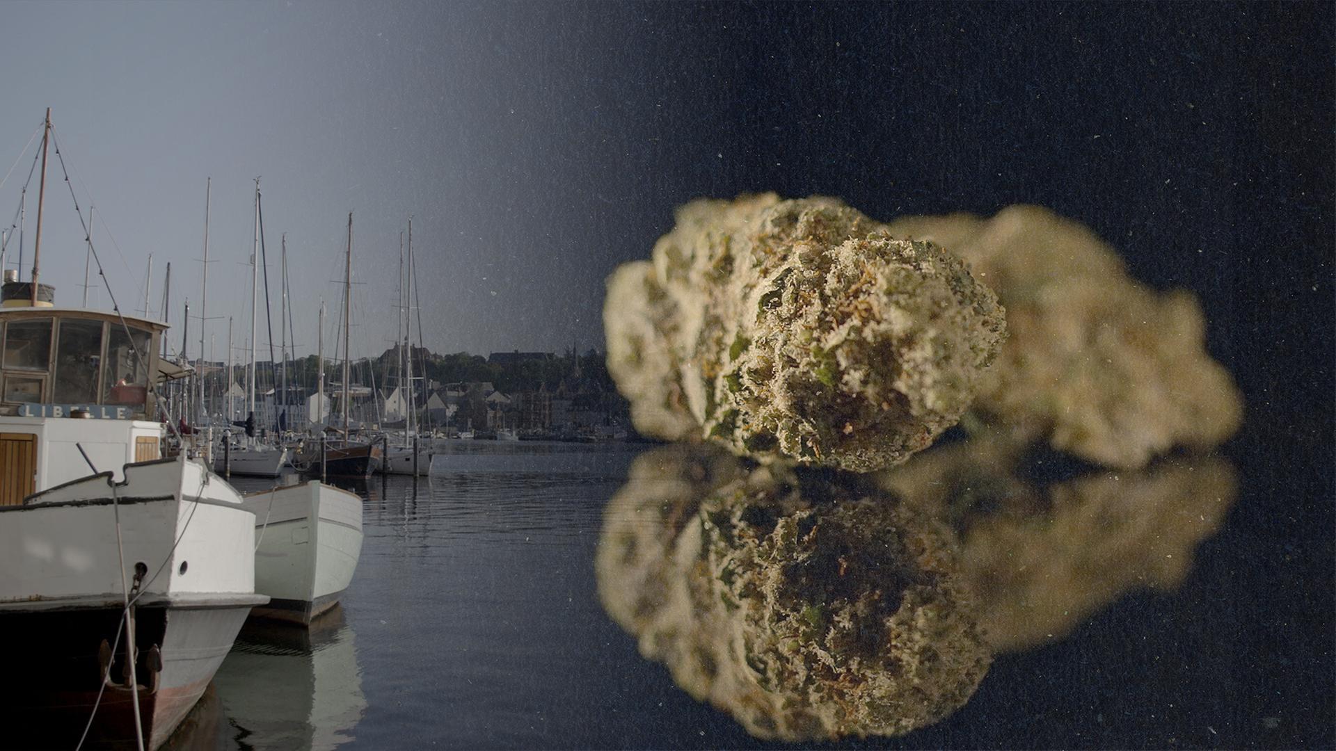Auf einer Seite liegen mehrere Schiffe im Wasser und Häuser stehen dahinter; auf der anderen Seite ist Cannabis in der Nahaufnahme.