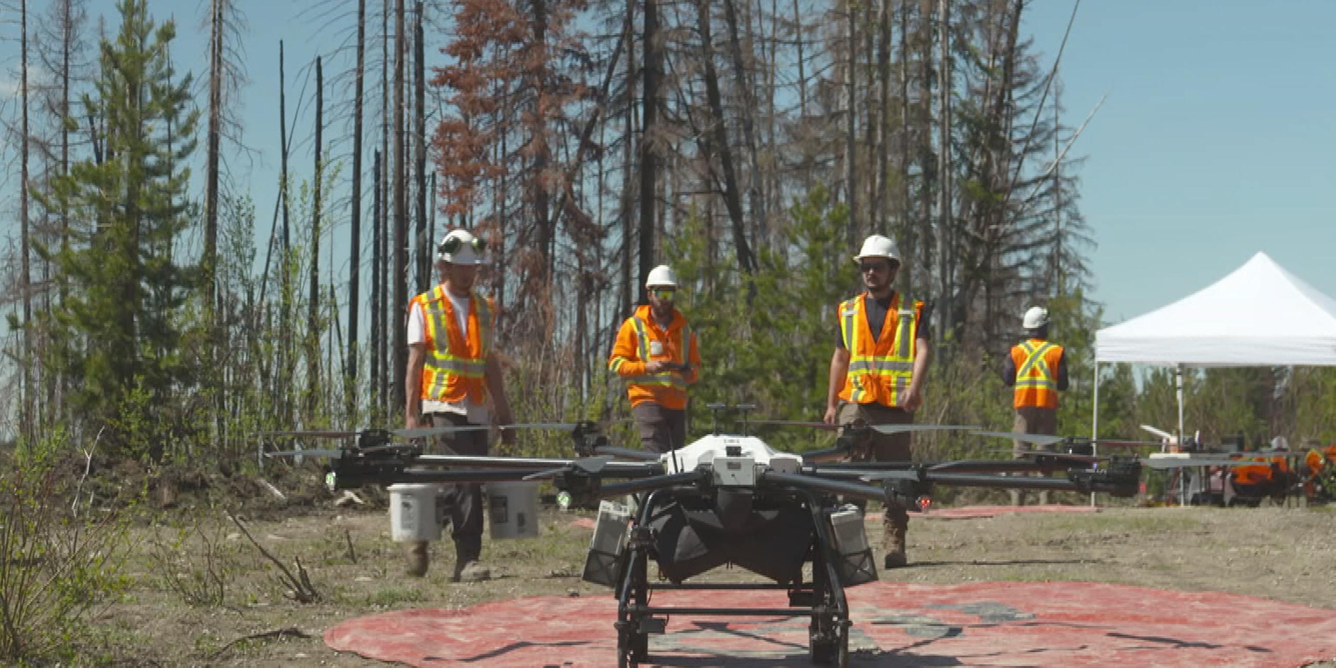 Drohnen, die Kanadas Wälder aufforsten sollen, im Bild eine Drohne der Firma Flash Forest 