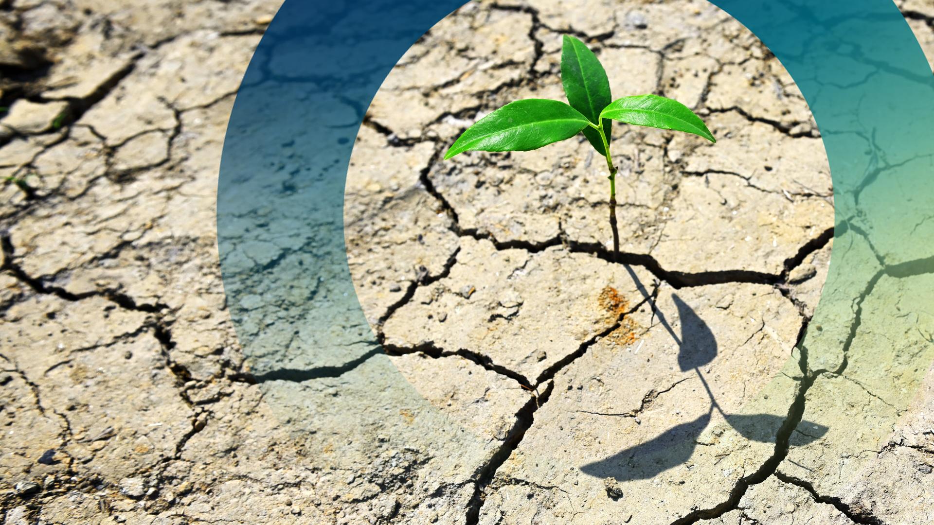 planet e. - die Einzeldokus