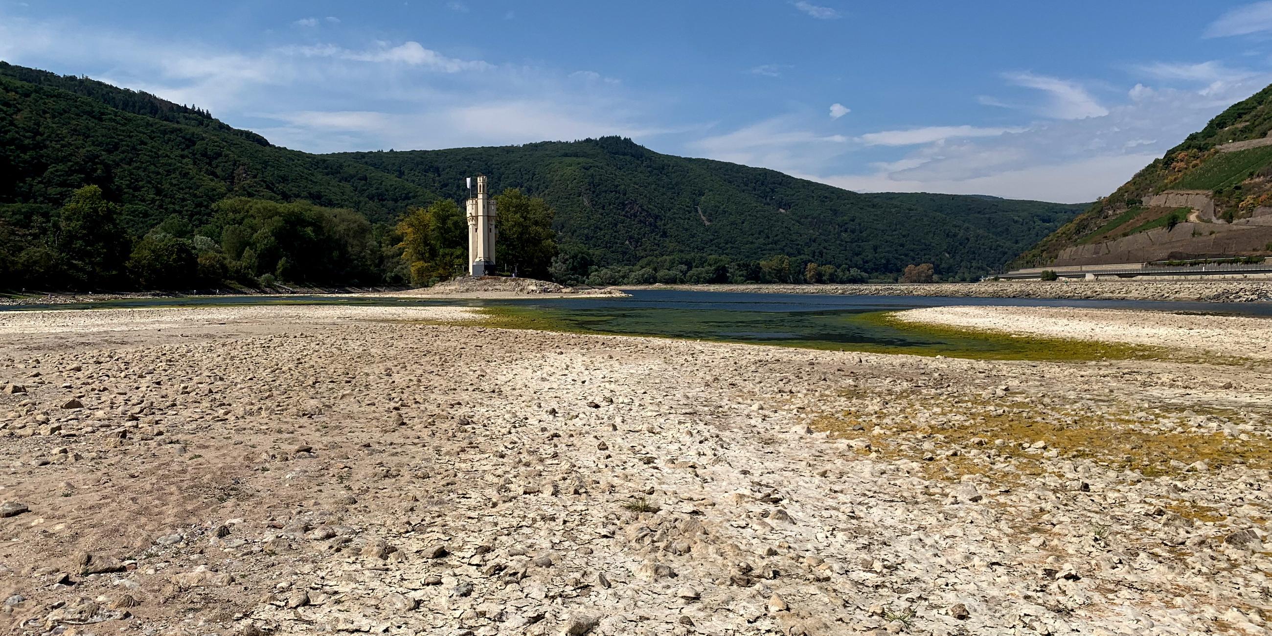Niedrige Wasserstände im Rhein; 17.08.2022; Bingen am Rhein