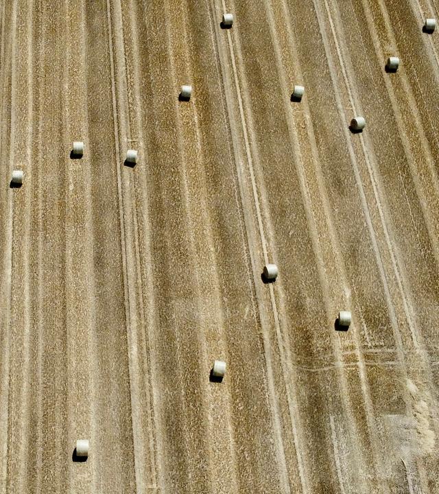 A picture taken with a drone shows bales of stubble on a dry field amid a heatwave, in Karlsruhe, Germany, 11 July 2023.