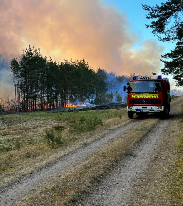  Rauch und Flammen steigen in den Himmel aus einem Waldgebiet, durch das ein Löschfahrzeug der Feuerwehr fährt.