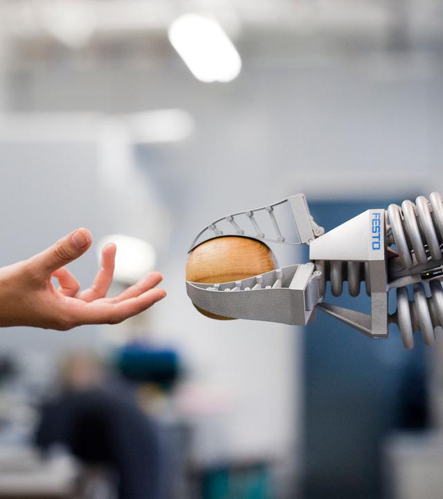 Vorbild Elefantenrüssel