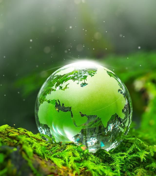 Erde in grüner Farbe dargestellt mit Pflanzen: Was ist der Earth Overshoot Day? Und was bedeutet es für Deutschland?