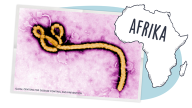 Das Ebola-Virus