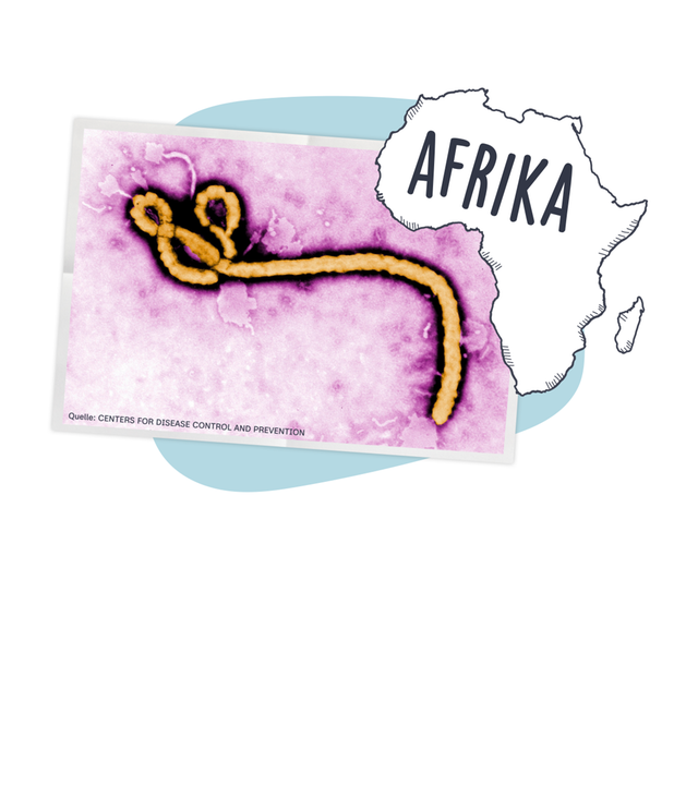Ein Bild des Ebola-Virus mit dem Schriftzug Afrika.
