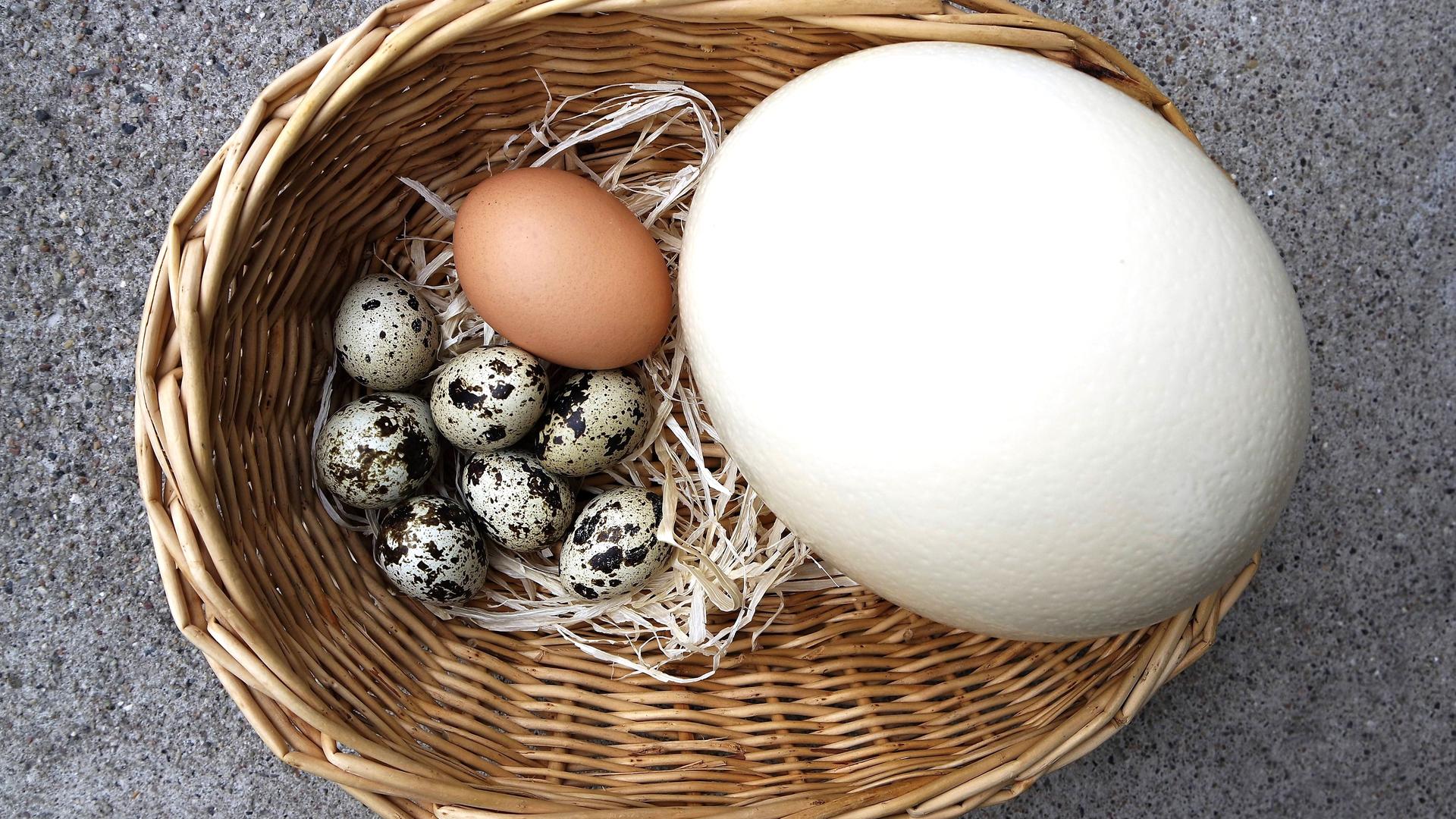 Verschieden große Eier in einem Korb