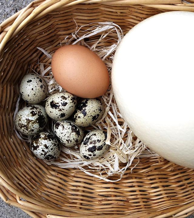 Verschieden große Eier in einem Korb