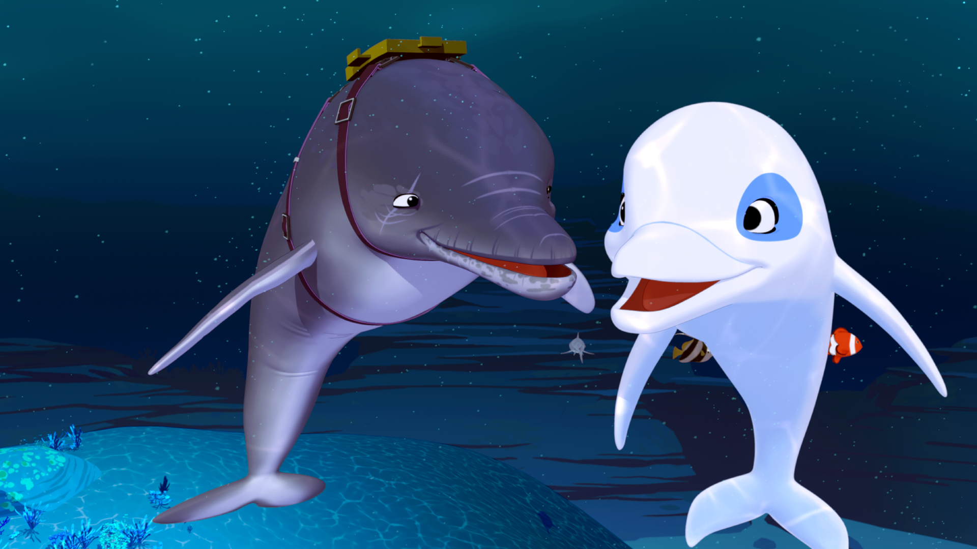 Zoom trifft auf Igor, einen vom Militär abgerichteten Delfin. Igor trägt Trageriemen und eine oliv farbene Box auf dem Rücken.