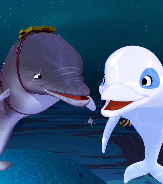 Zoom trifft auf Igor, einen vom Militär abgerichteten Delfin. Igor trägt Trageriemen und eine oliv farbene Box auf dem Rücken.