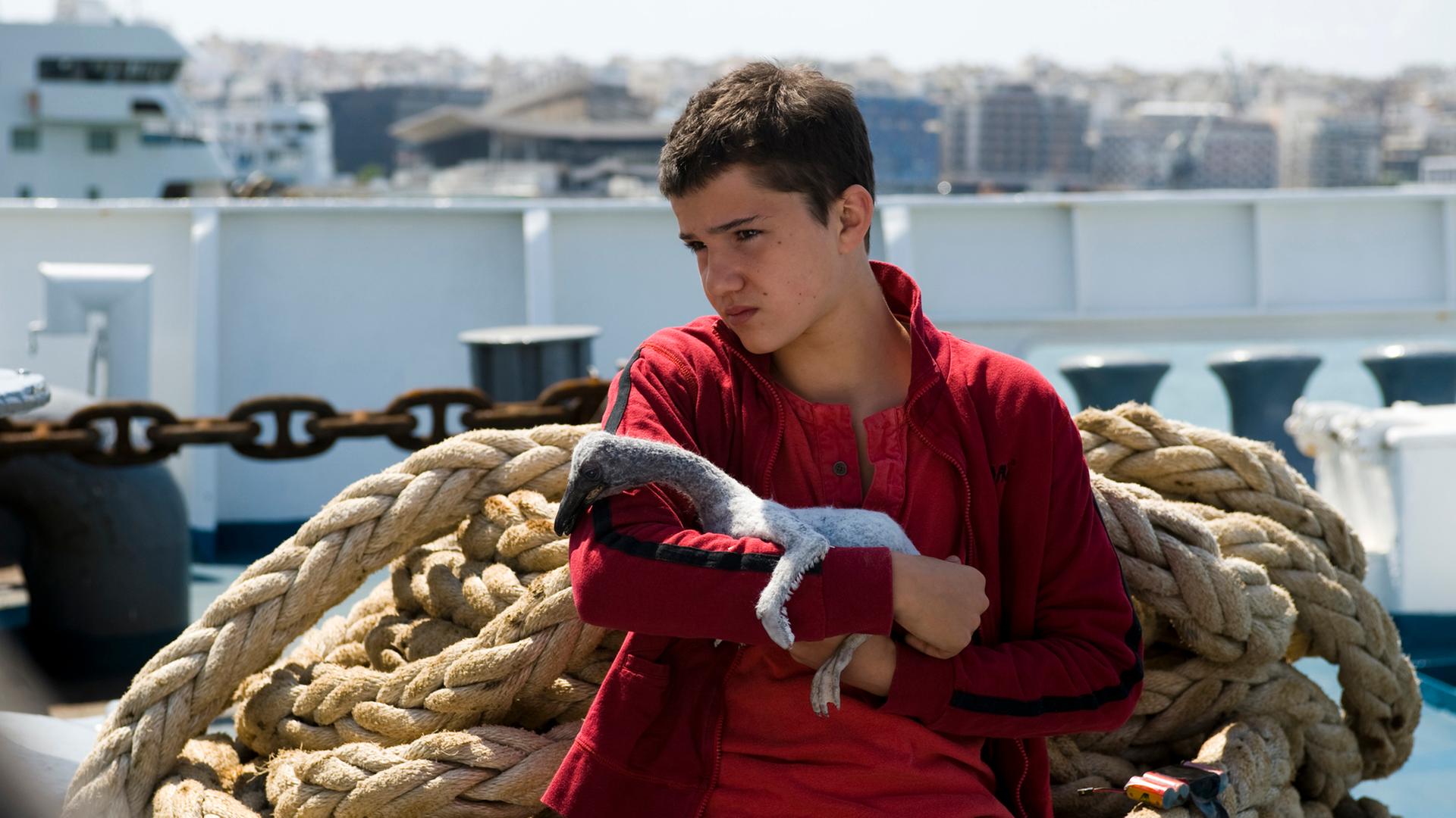 Yannis (Thibault Le Guellec) sitzt auf dem Frachter im Hafen und hält ein Pelikanbaby auf dem Arm.