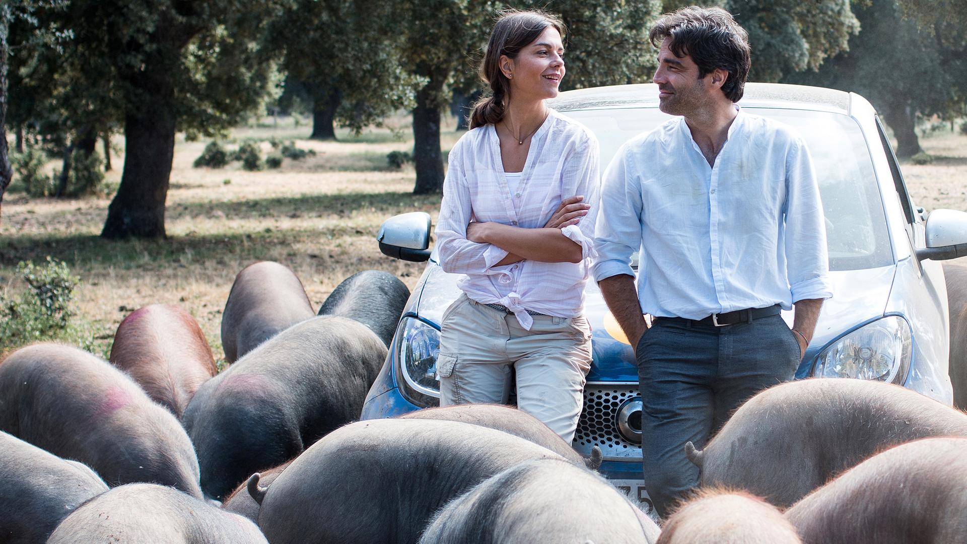Carlos (Fernando Corral) und Rike (Susan Hoecke), umringt von vielen Schweinen, lehnen auf einer Motorhaube und schauen sich lächelnd an.