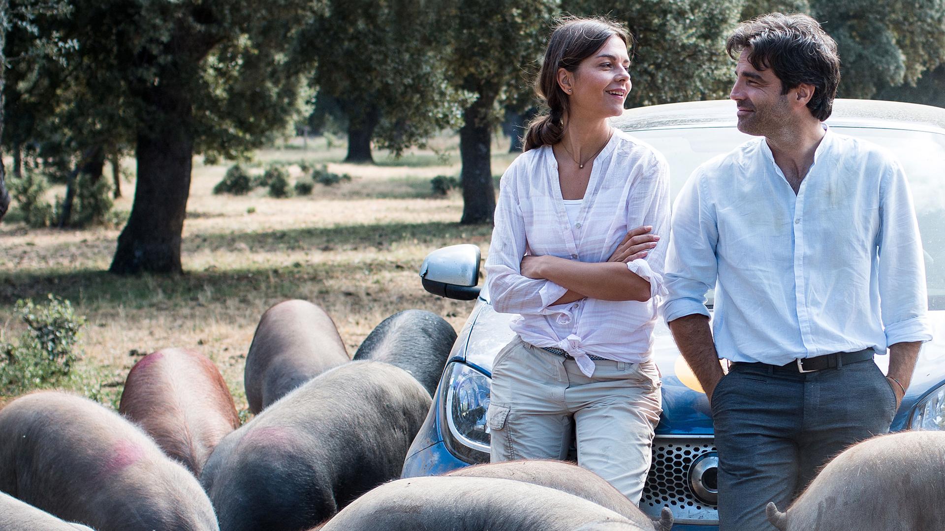 Carlos (Fernando Corral) und Rike (Susan Hoecke), umringt von vielen Schweinen, lehnen auf einer Motorhaube und schauen sich lächelnd an.