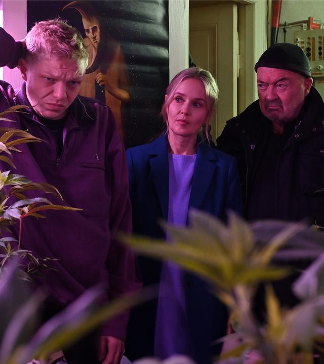 "Ein starkes Team - Mörderische Gier": Linett Wachow (Stefanie Stappenbeck) und Otto Garber (Florian Marrtens) stehen im Türbereich einer Cannabisplantage. Vor den beiden steht Falk Becker (Leonard Kunz), der sich mit der Hand am Kopf reibt.