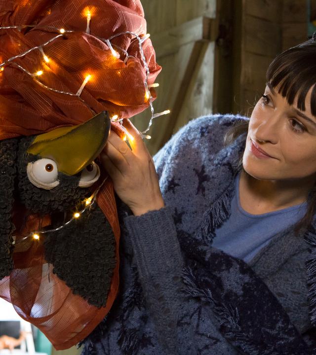 Rabe Rudi hängt kopfüber in einer Lichterkette verstrickt im Schuppen, Siebenstein versucht ihn zu befreien.