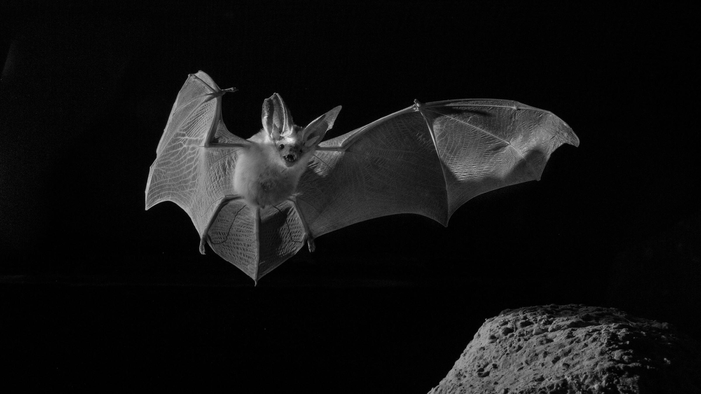 Eine Erde Viele Welten Wusten Zdfmediathek