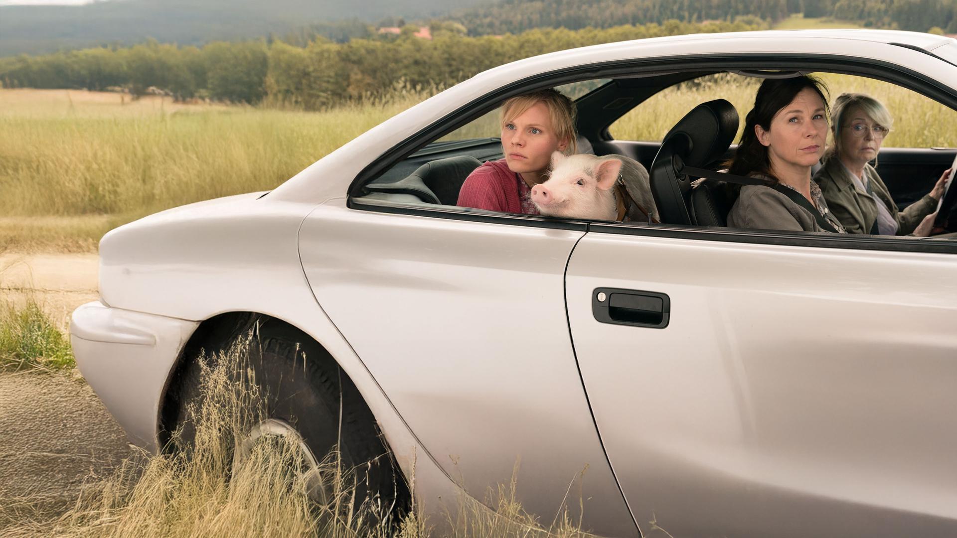 "Eine ganz heiße Nummer 2.0": Waltraud (Gisela Schneeberger), Maria (Bettina Mittendorfer) und Lena (Rosalie Thomass) sitzen im Auto. Waldtraud ist am Steuer, während Lena auf dem Rücksitz ein Schweinchen auf dem Schoß hat. Alle schauen mit fragendem Blick aus dem Fenster.