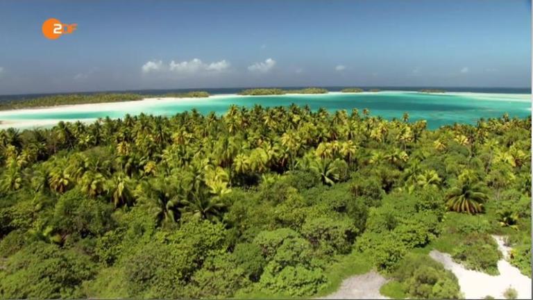 Eine Insel mit Palmen, weißen Stränden und hellblauem Meer