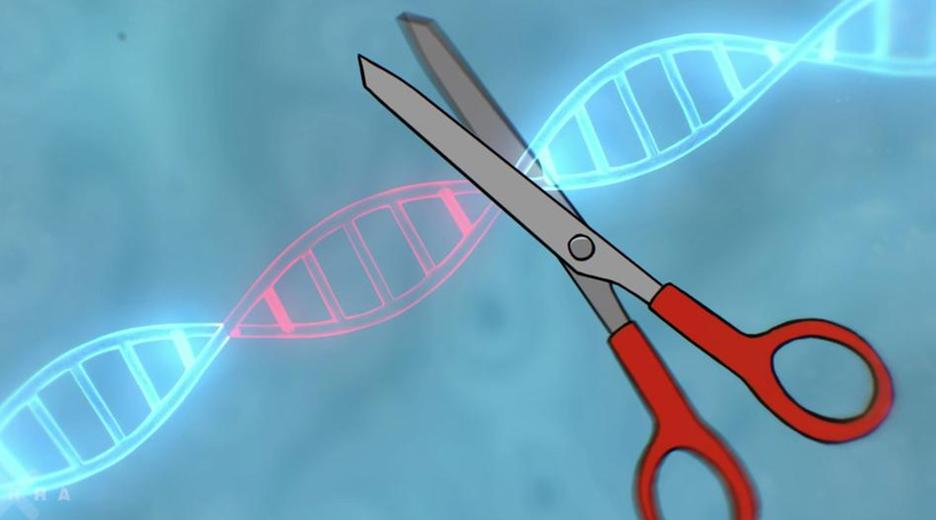 Eine Schere durchtrennt einen DNA-Strang (Zeichnung)