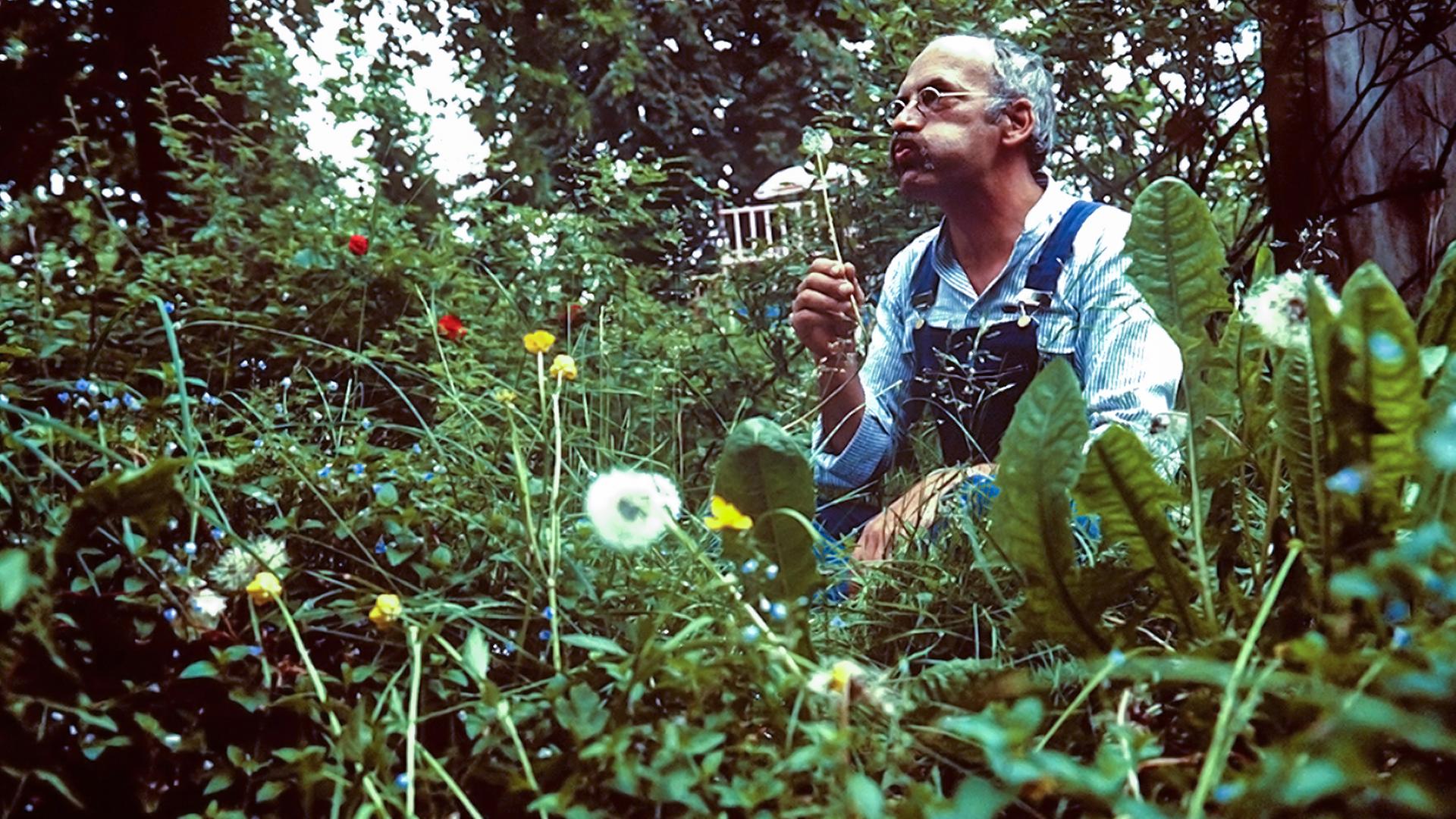 Peter richtet sein Zuhause ein