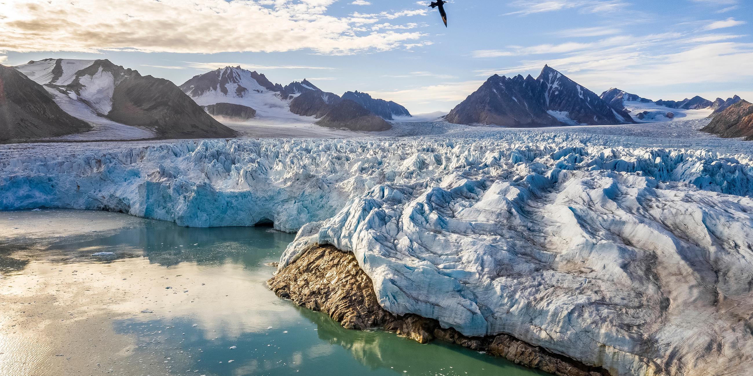 Ein Gletscher trifft auf das Meer. Im Hintergrund erheben sich Berggipfel und ein Vogel fliegt über die Szenerie.