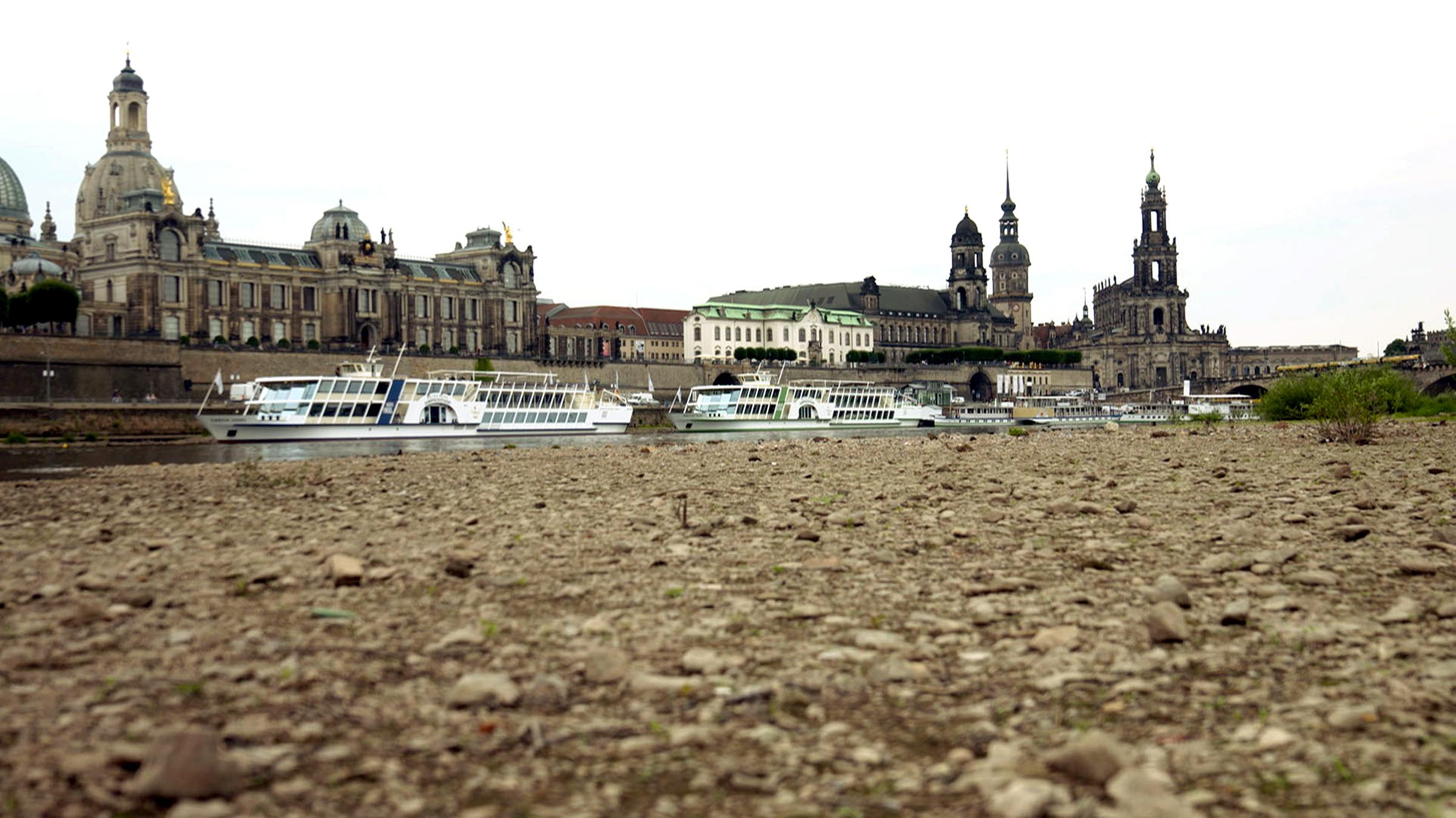 Niedrigwasser der Elbe in Dresden