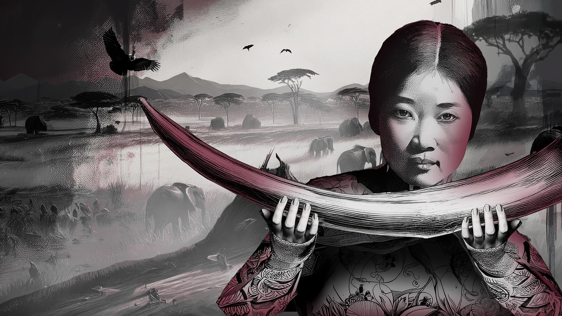 Illustration einer Frau, die als Yang Fenglan dargestellt ist und einen großen Elefantenstoßzahn in beiden Händen hält. Im Hintergrund erstreckt sich eine afrikanische Savannenlandschaft mit Elefantenherden, Bäumen und Vögeln am Himmel; die Szene ist in dunklen, rot-schwarzen Tönen gehalten und wirkt bedrohlich.