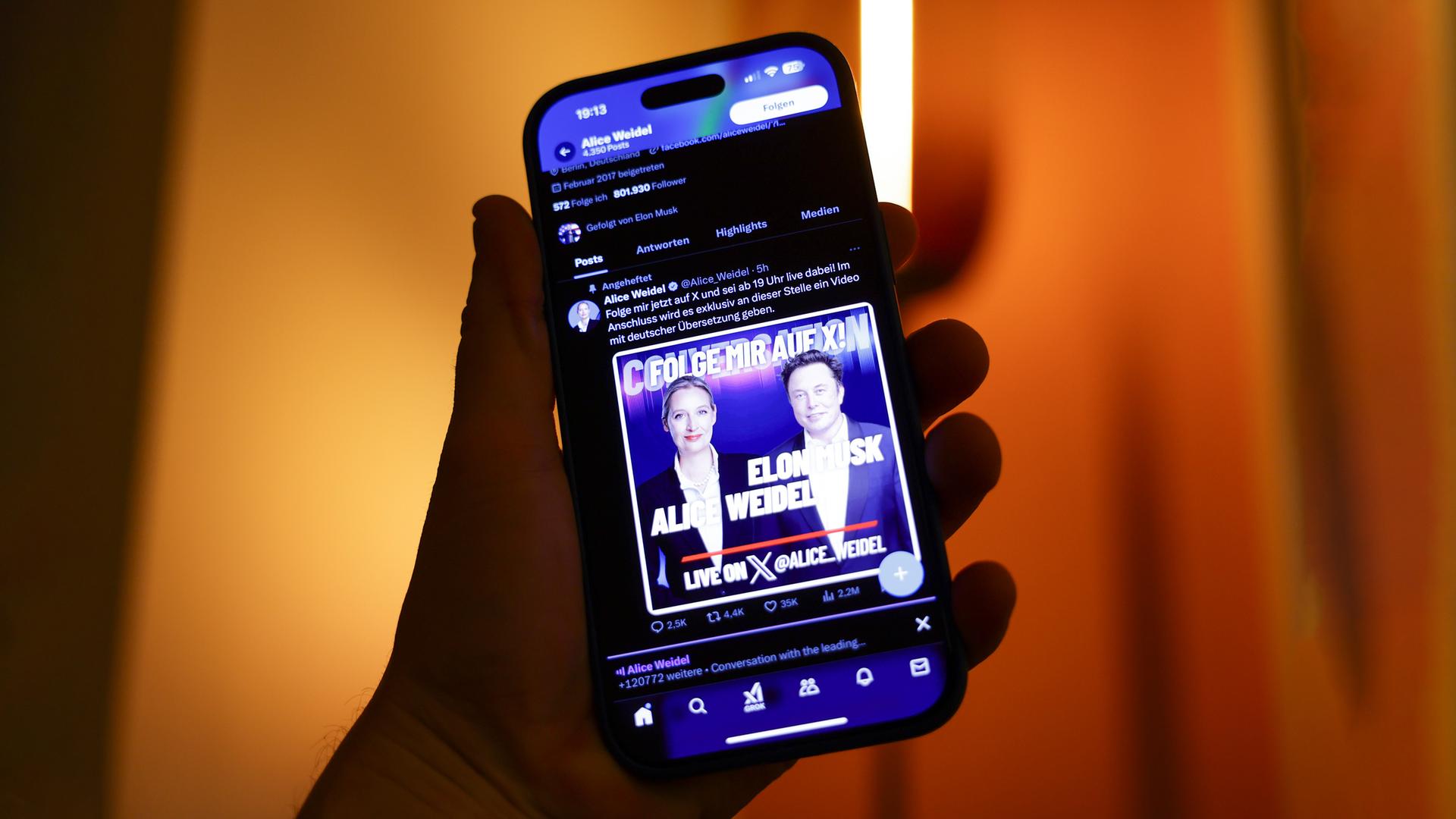 X-Account von Alice Weidel kündigt Gespräch mit Elon Musk an