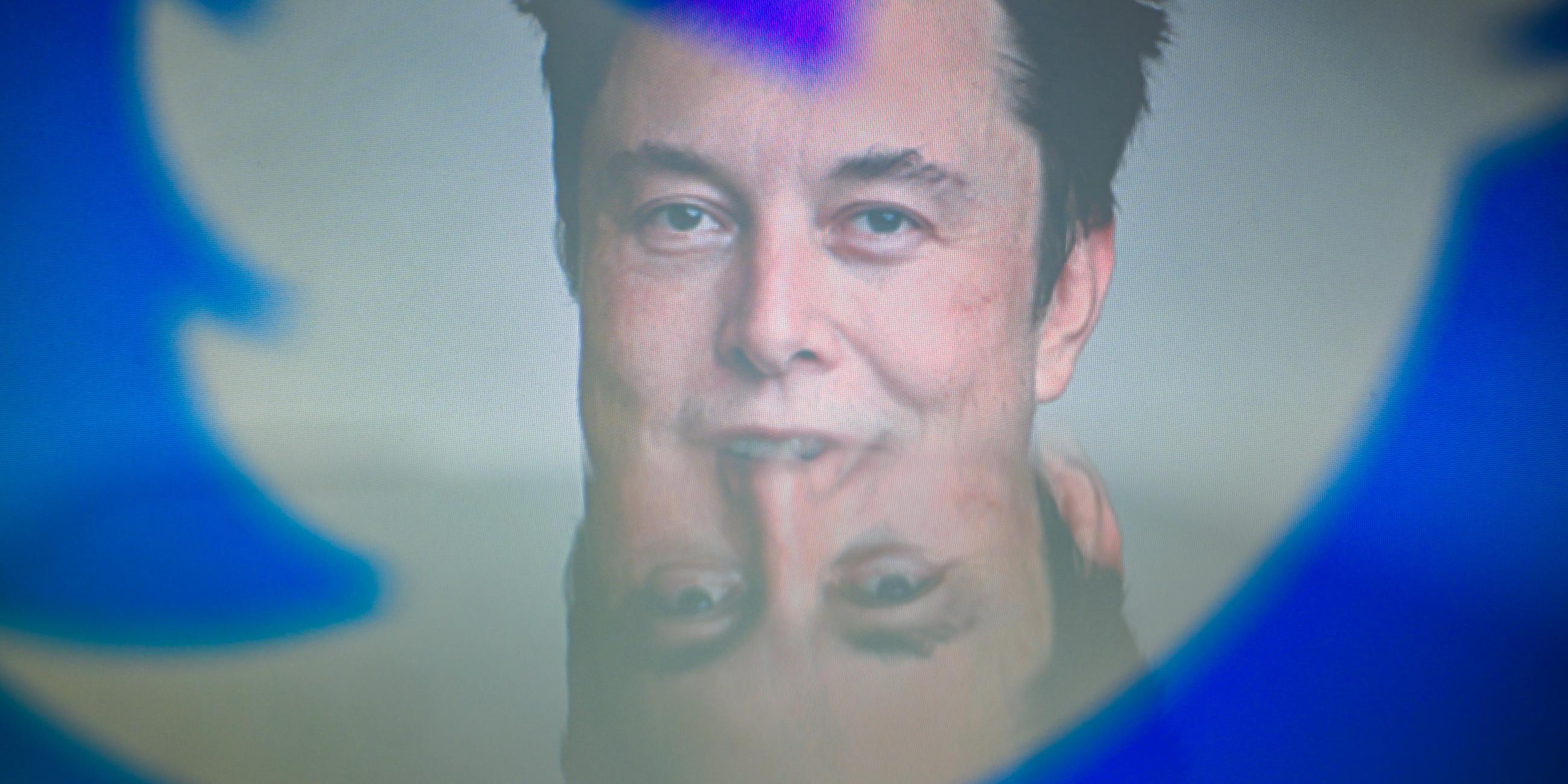 Elon Musk, CEO von Tesla und SpaceX, hinter den Silhouetten des Twitter-Logos.