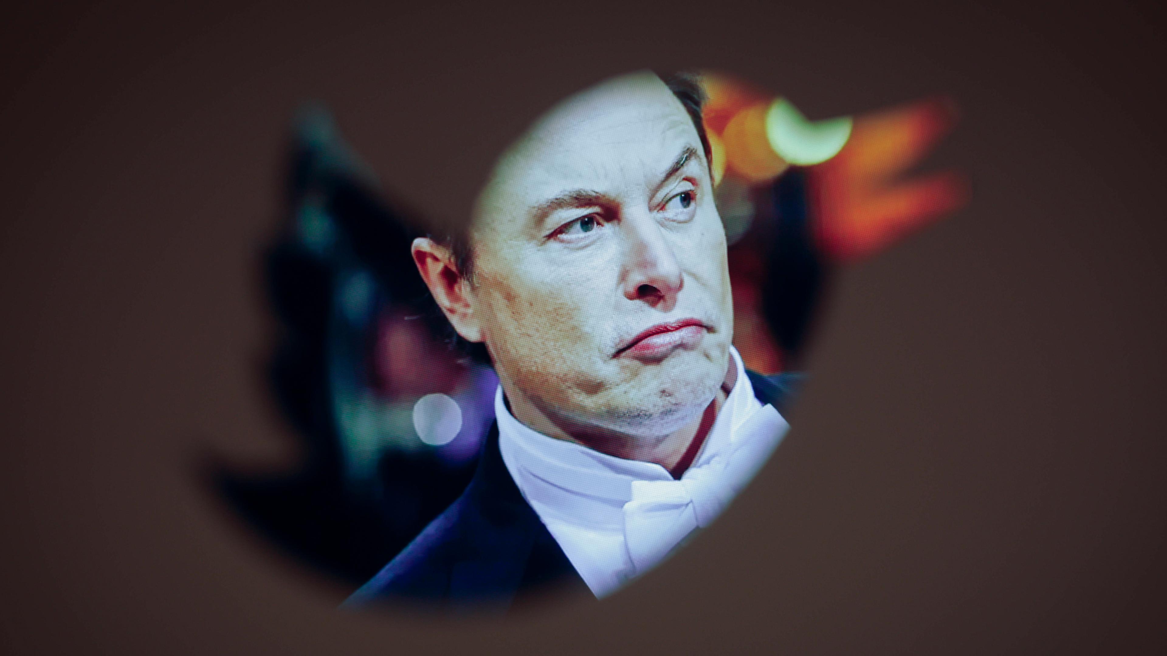 Elon Musk, CEO von Twitter, ist mit dem Logo des sozialen Netzwerks zu sehen, aufgenommen am 30.11.2022