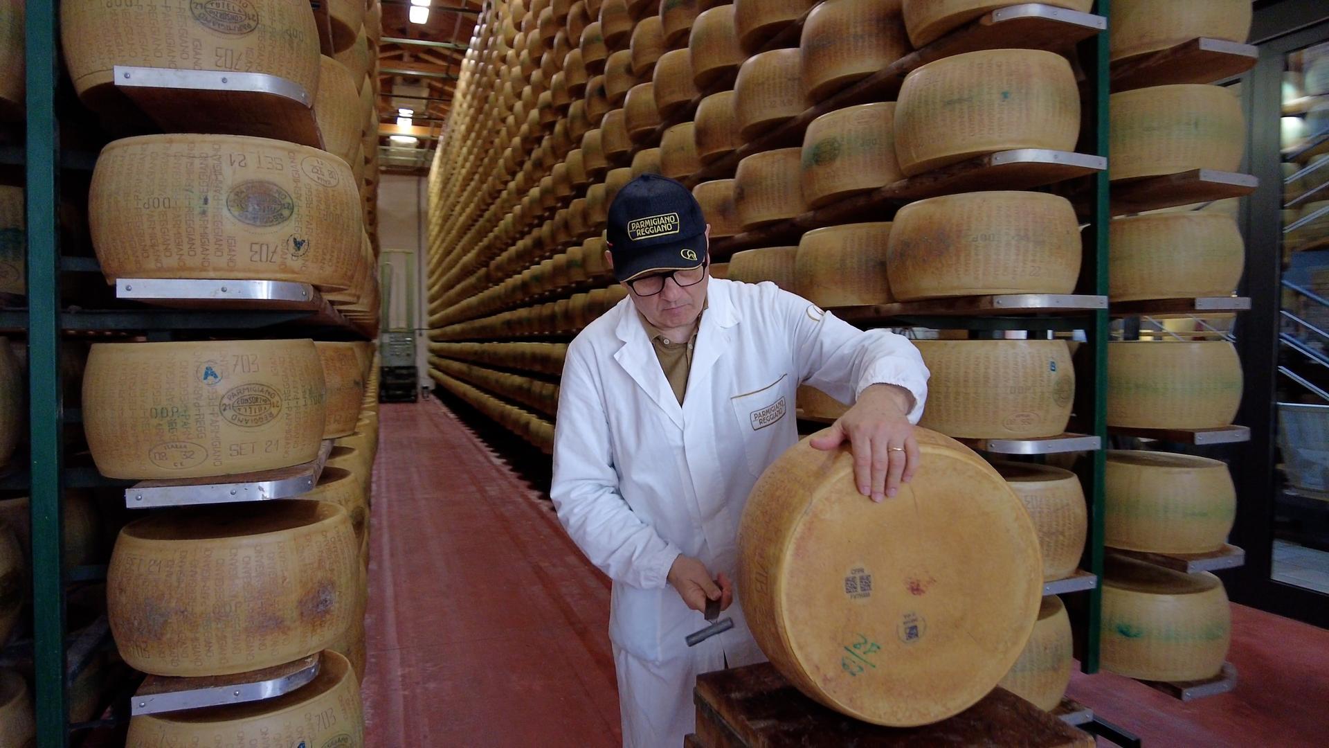 Mann mit großem Käserad vor Regalen voller Käseräder.