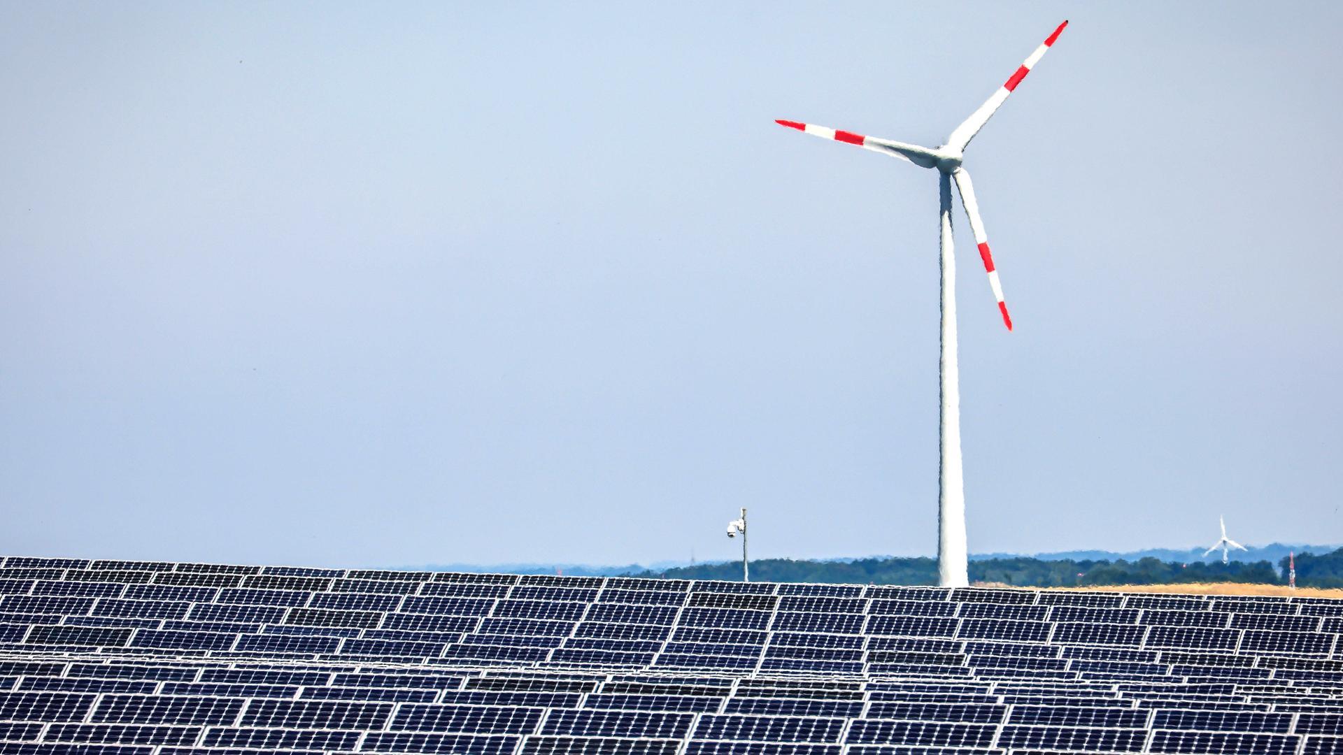 Solarmodule aufgereiht in einem Solarpark. Im Hintergrund steht ein Windrad.