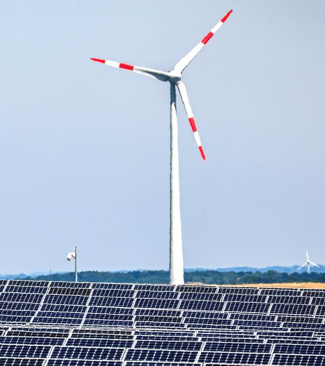 Solarmodule aufgereiht in einem Solarpark. Im Hintergrund steht ein Windrad.