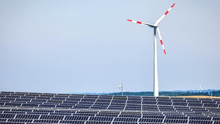 Solarmodule aufgereiht in einem Solarpark. Im Hintergrund steht ein Windrad.