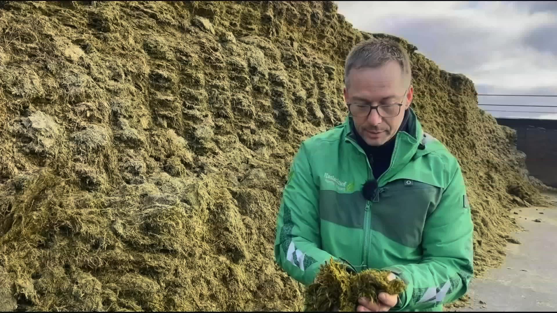 Landwirt steht vor riesigem Misthaufem, er hält Kuhmist in den Händen