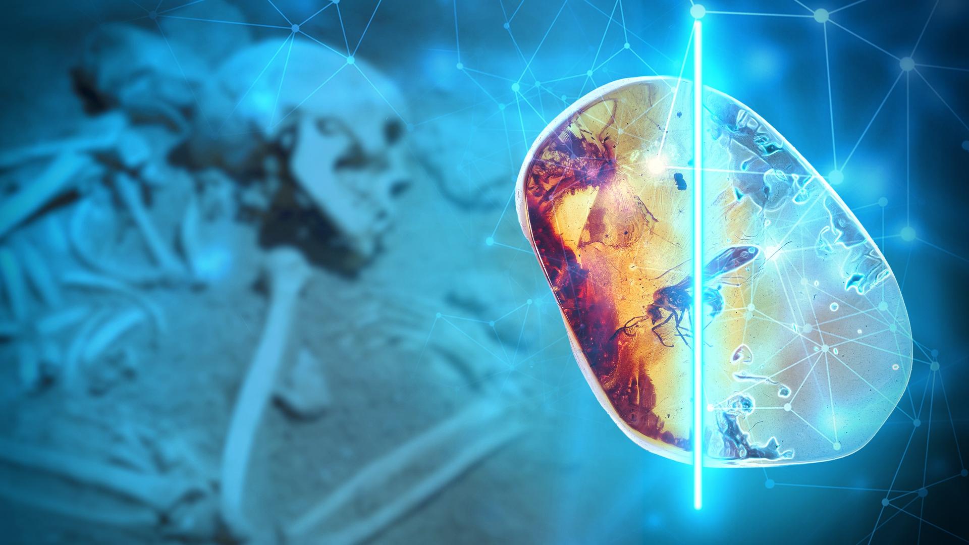 Entschlüsselt: Die Bernsteinstraße