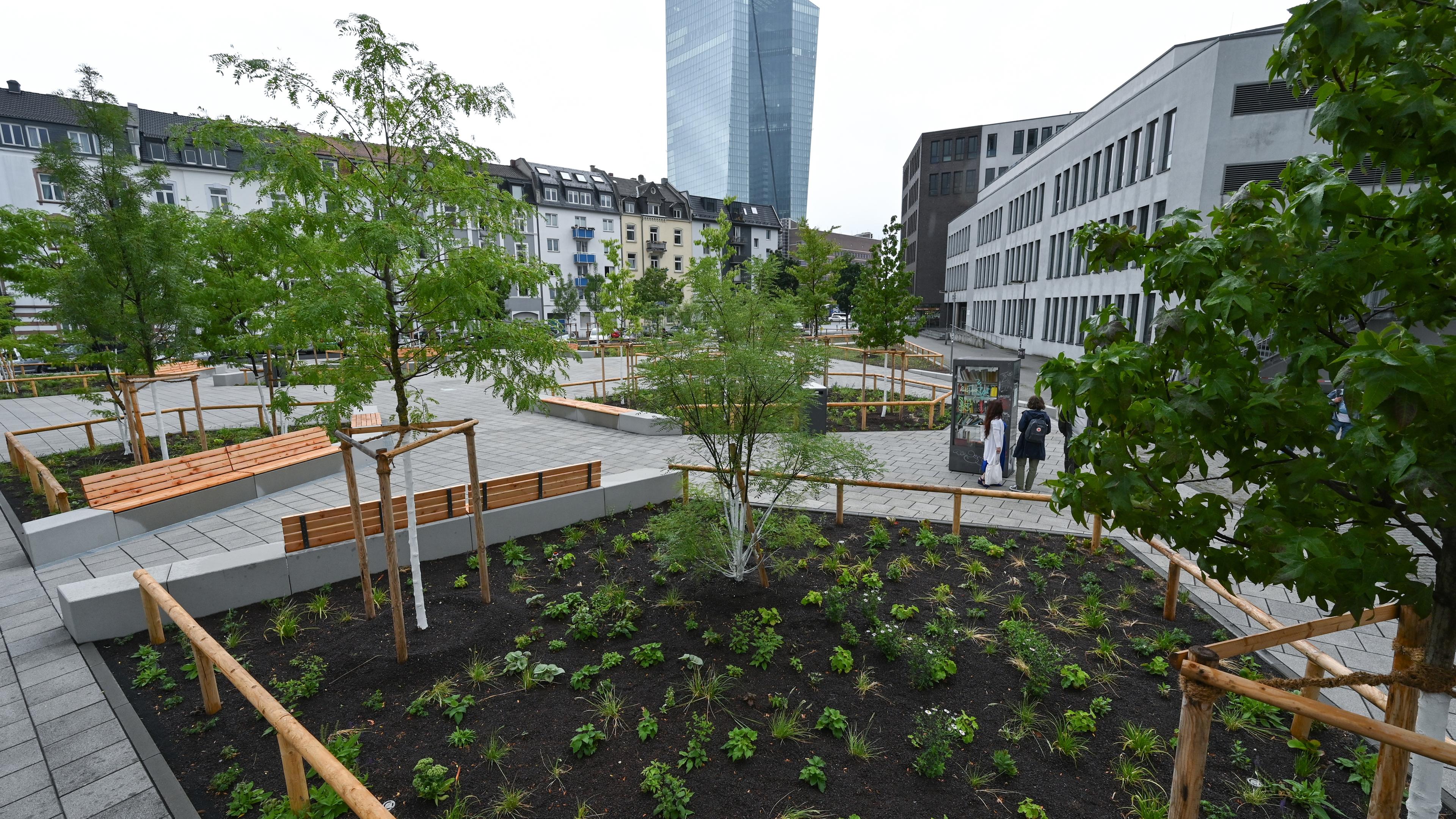Mit neuen Grünflächen und Bäumen präsentiert sich der Paul-Arnsberg-Platz im Frankfurter Stadtteil Ostend nach der klimafreundlichen Umgestaltung.