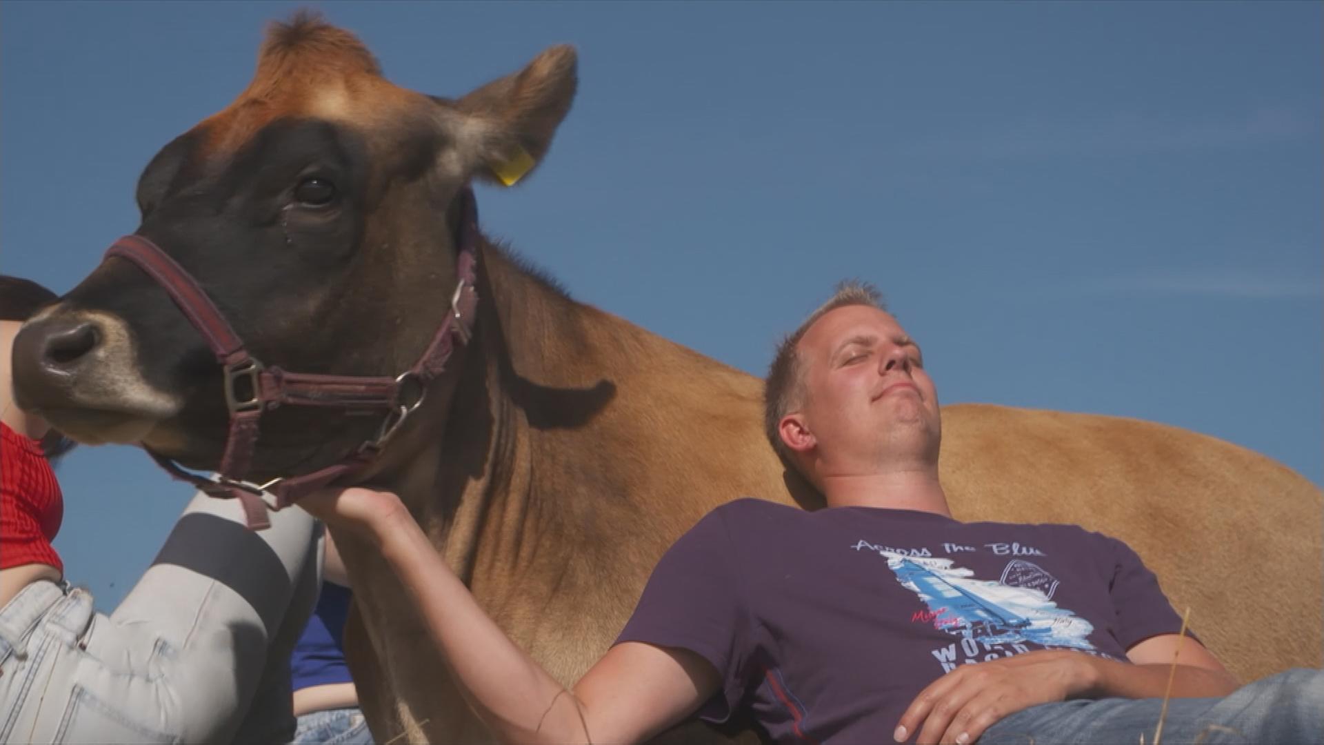 Mann kuschelt mit Kuh