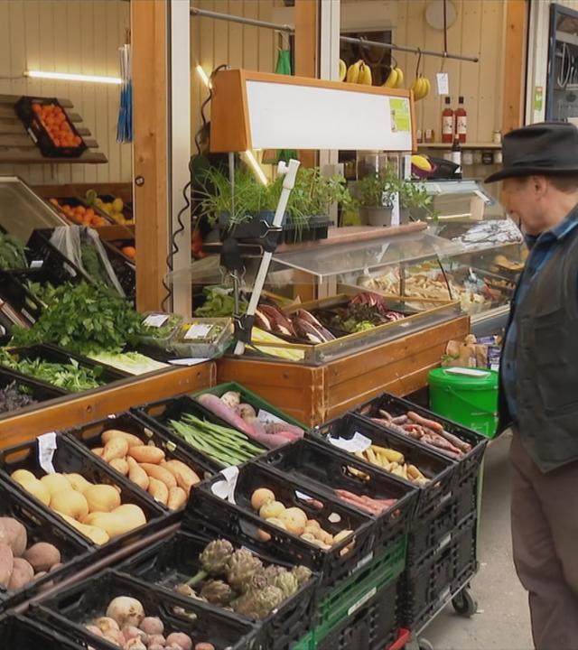 Entwicklung Bio-Branche